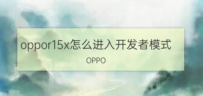 oppor15x怎么进入开发者模式 OPPO R15x怎么打开开发者项目？